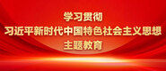 黄色操大比学习贯彻习近平新时代中国特色社会主义思想主题教育_fororder_ad-371X160(2)